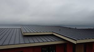 Best Commercial Roofing Services  in Progreso, TX